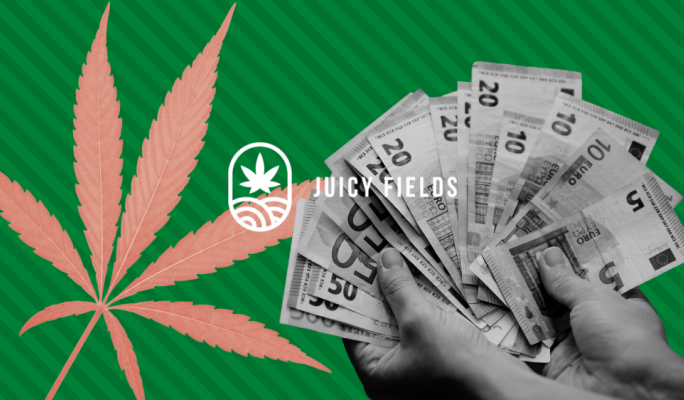 Up in smoke: Cannabis Ponzi scheme leaves Maltese investors penniless